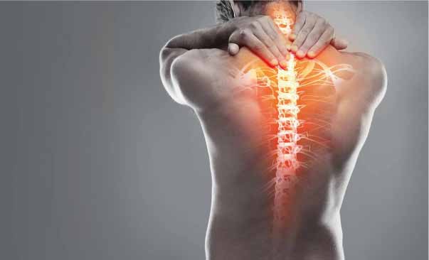 Unidad de Columna